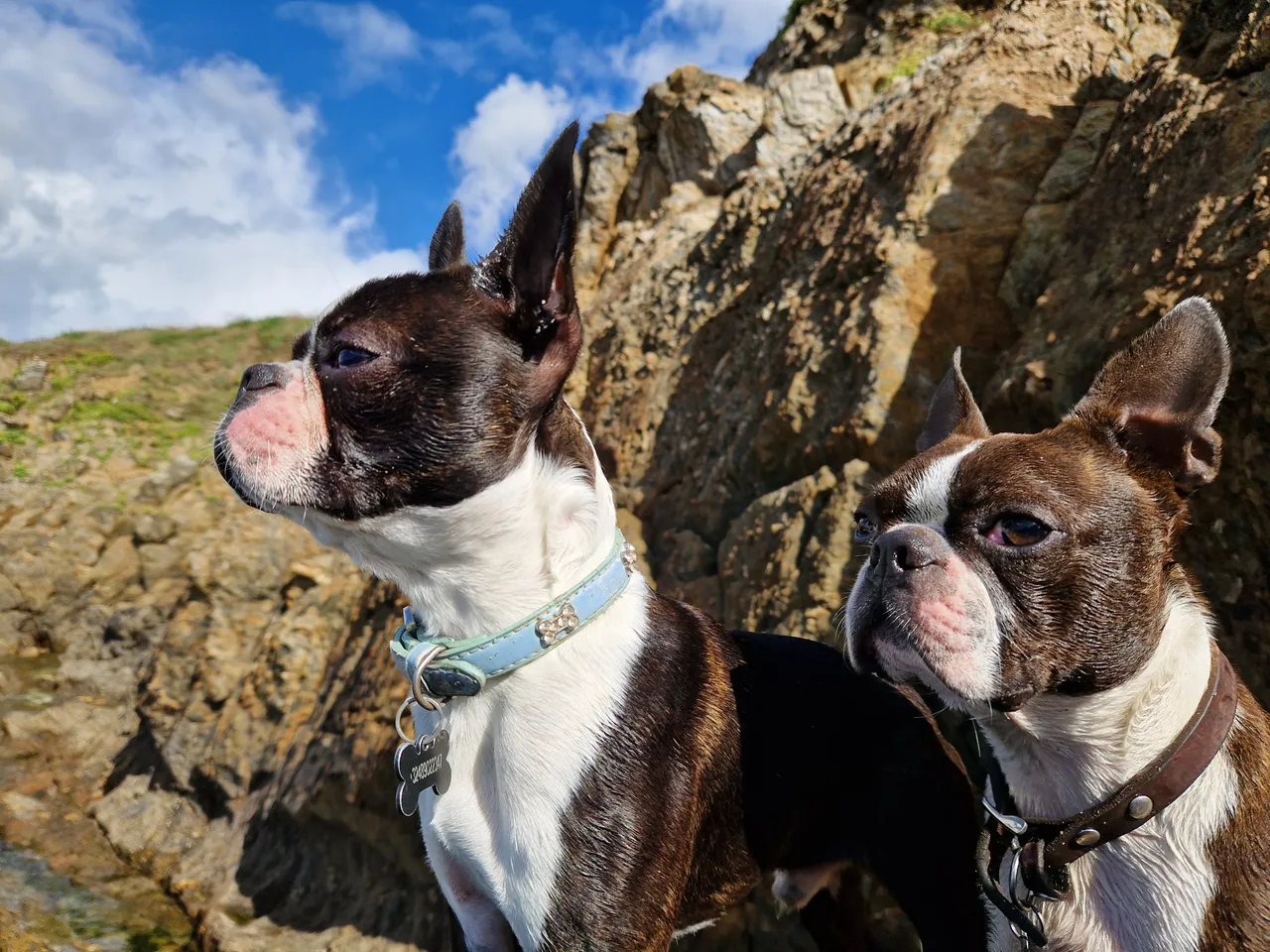 Vasco et Woody